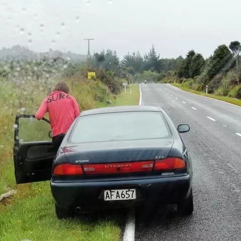 在新西兰自驾,突然,前车的人探出窗拼命做手势逼停了我们... - 得居房产资讯