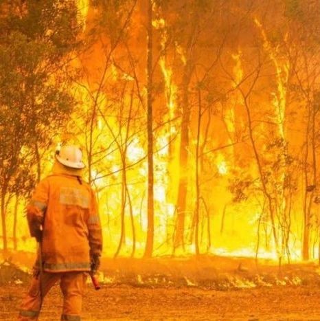 大火无情人有情：新西兰增派21名消防员帮助澳大利亚灭火！ - 得居房产资讯