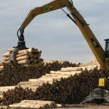 中国需求大量木材，新西兰出口商的钱包鼓起来了！ - 得居房产资讯