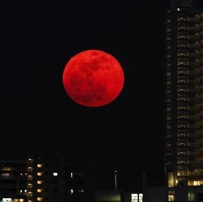 下周，新西兰夜空将出现“超级血月”！ - 得居房产资讯