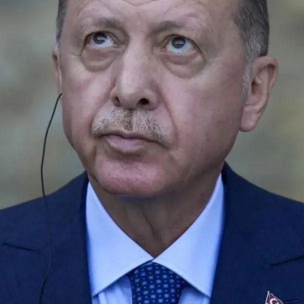 土耳其宣布10位大使为“不受欢迎的人”，包括新西兰大使！ - 得居房产资讯